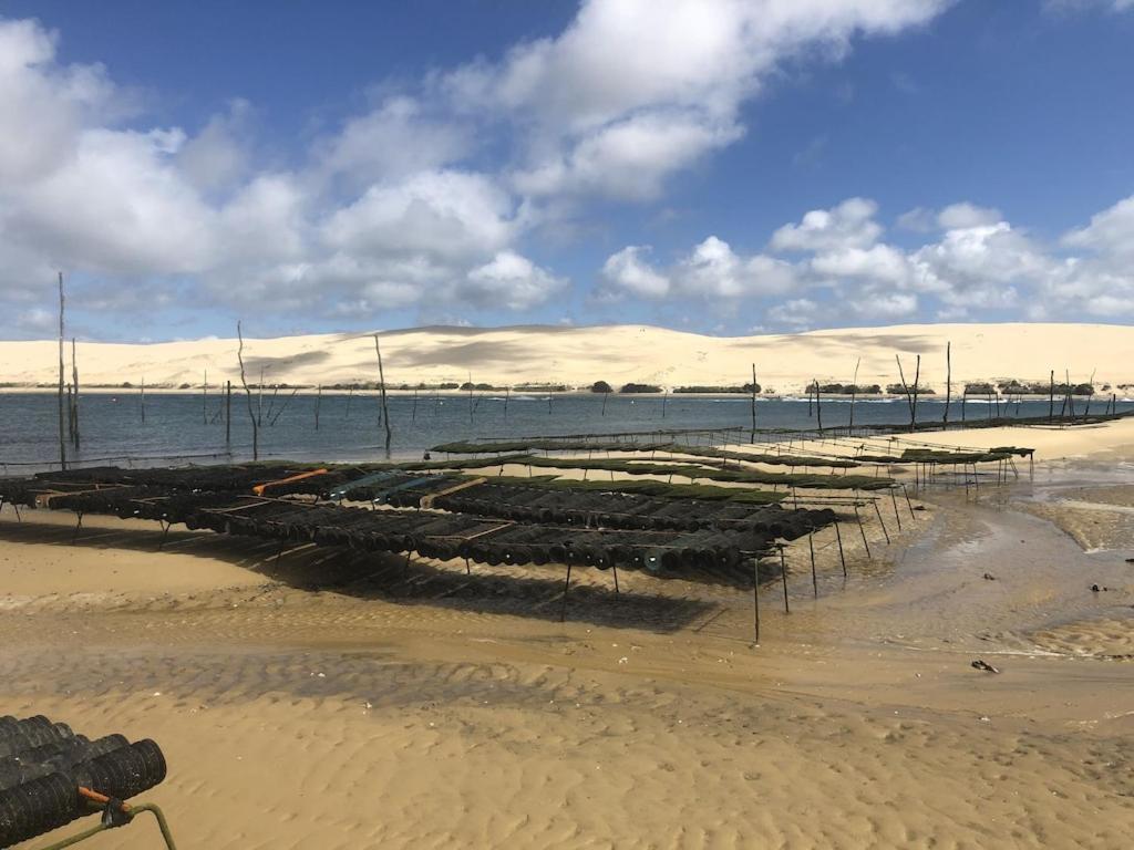 Ville Les Flots Bleus Proche Golf Arcachon La Teste-de-Buch Exterior photo